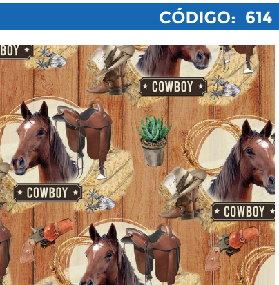 4300-614 PLIEGO DE REGALO CABALLERO