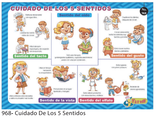 LAMINA EDUCATICA CUIDADO DE LOS 5 SENTIDOS