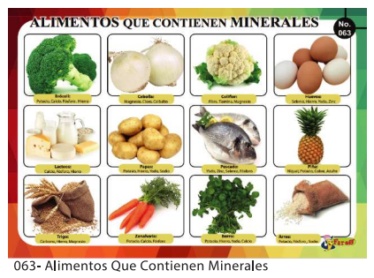 LAMINAS EDUCATIVAS ALIMENTOS QUE CONTIENEN MINERALES