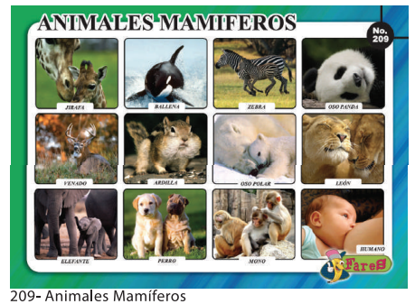LAMINAS EDUCATIVAS ANIMALES MAMIFEROS