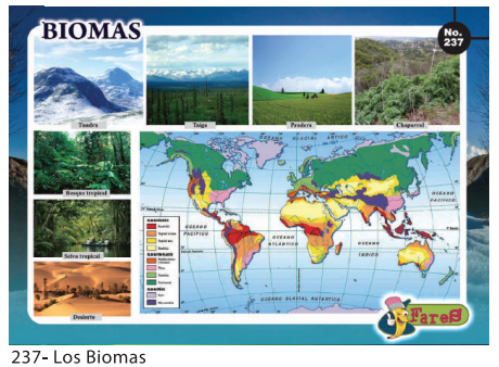 LAMINAS EDUCATIVAS BIOMAS
