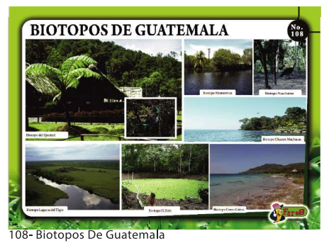 LAMINAS EDUCATIVAS BIOTIPOS DE GUATEMALA
