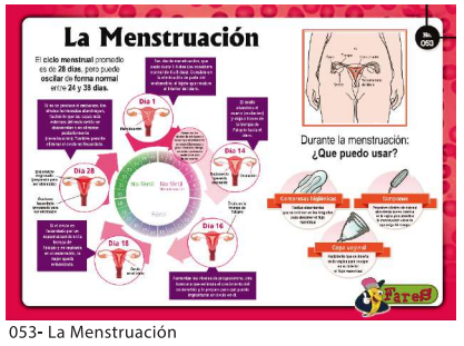 Laminas educativas  La Menstruacion