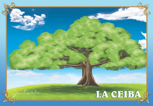 [4270-11] 4270-11 POSTER CEIBA DE GUATEMALA