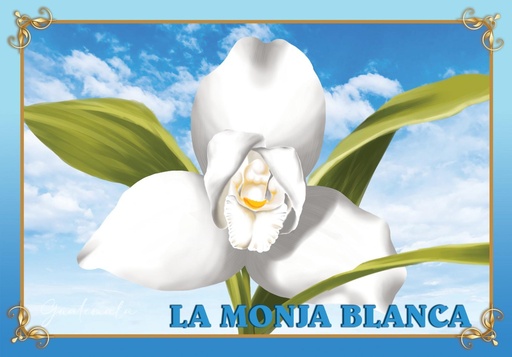 [4270-14] 4270-14 POSTER MONJA BLANCA DE GUATEMALA