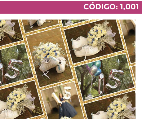 [4300-1001] 4300-1001 PLIEGO DE REGALO 15 AÑOS