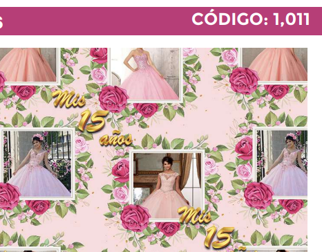 [4300-1011] 4300-1011 PLIEGO DE REGALO 15 AÑOS