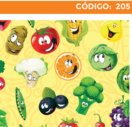 [4300-205] 4300-205 PLIEGO EDUCATIVO