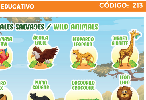 [4300-213] 4300-213 PLIEGO EDUCATIVO
