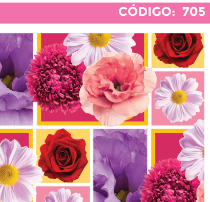 [4300-705] 4300-705 PLIEGO DE REGALO DAMA