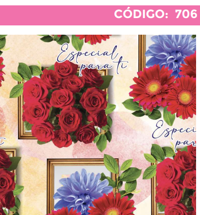 [4300-706] 4300-706 PLIEGO DE REGALO DAMA