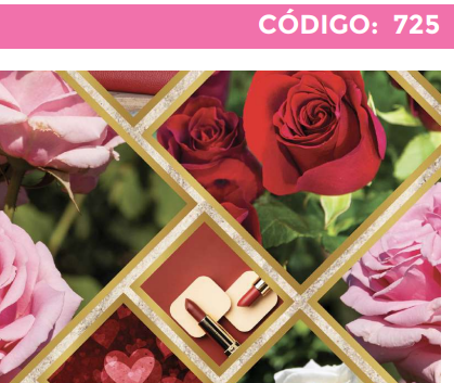 [4300-725] 4300-725 PLIEGO DE REGALO DAMA