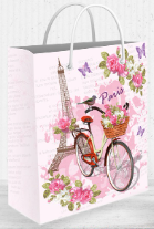 [7000-705] 7000-705 BOLSA DE REGALO DAMA