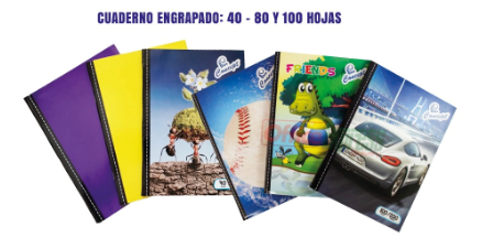 [6000-12] CUADERNO ENGRAPADO 80 H. CUADROS 8MM CONCEPT FX148