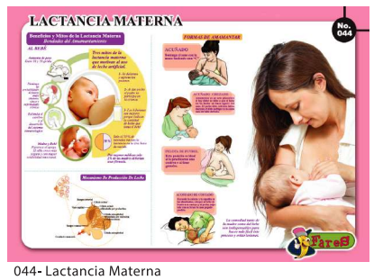 [F44] LAMINA EDUCATIVA LACTANCIA MATERNA