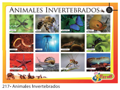 [F217] LAMINAS EDUCATIVAS ANIMALES INVERTEBRADOS