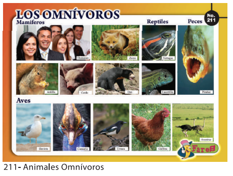 [F211] LAMINAS EDUCATIVAS ANIMALES OMNIVOROS