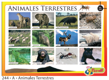 [F244-A] LAMINAS EDUCATIVAS ANIMALES TERRESTRES