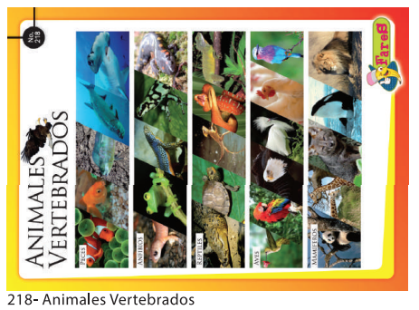 [F218] LAMINAS EDUCATIVAS ANIMALES VERTEBRADOS