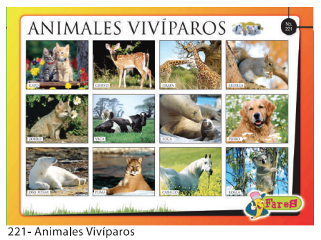 [F221] LAMINAS EDUCATIVAS ANIMALES VIVIPAROS
