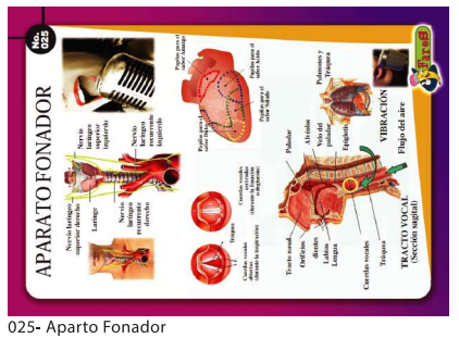 [F25] LAMINAS EDUCATIVAS APARATO FONADOR