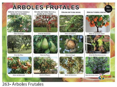 [F263] LAMINAS EDUCATIVAS ARBOLES FRUTALES