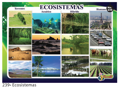 [F239] LAMINAS EDUCATIVAS ECOSISTEMAS