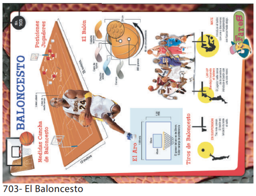 [F703] LAMINAS EDUCATIVAS EL BALONCESTO