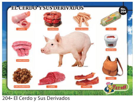 [F204] LAMINAS EDUCATIVAS EL CERDO Y SUS DERIVADOS