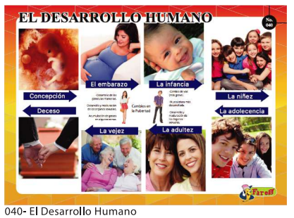 [F40] LAMINAS EDUCATIVAS EL DESARROLLO HUMANO
