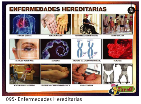 [F95] LAMINAS EDUCATIVAS ENFERMEDADES HEREDITARIAS