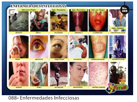 [F88] LAMINAS EDUCATIVAS ENFERMEDADES INFECCIOSAS