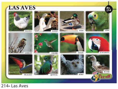 [F-214C] LAMINAS EDUCATIVAS F-214 LAS AVES