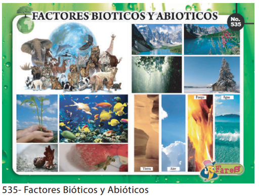 [F535] LAMINAS EDUCATIVAS FACTORES BIOTICOS Y ABIOTICOS