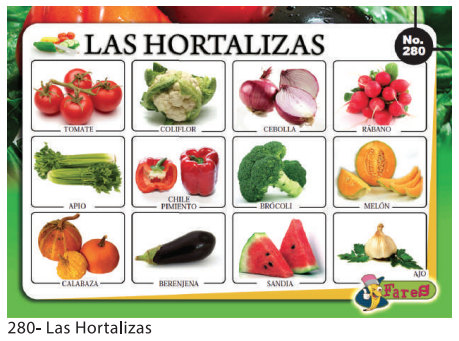[F280] LAMINAS EDUCATIVAS HORTALIZAS