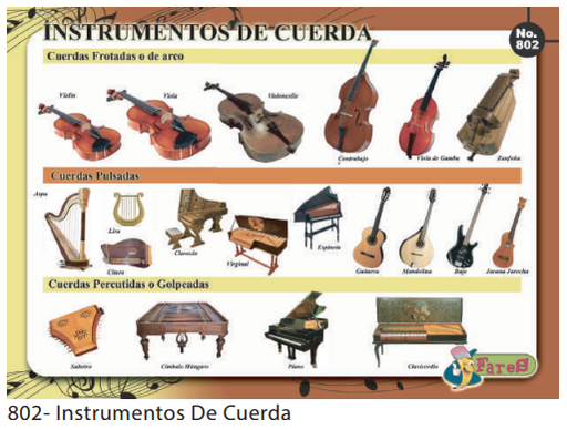 [F802] LAMINAS EDUCATIVAS INSTRUMENTOS DE CUERDA