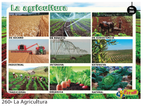 [F260] LAMINAS EDUCATIVAS LA AGRICULTURA