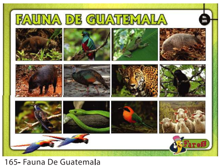 [F165] LAMINAS EDUCATIVAS LA FAUNA DE GUATEMALA