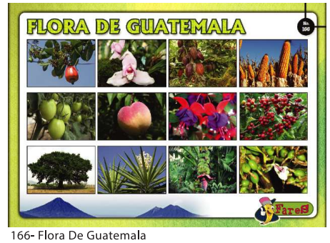 [F166] LAMINAS EDUCATIVAS LA FLORA DE GUATEMALA