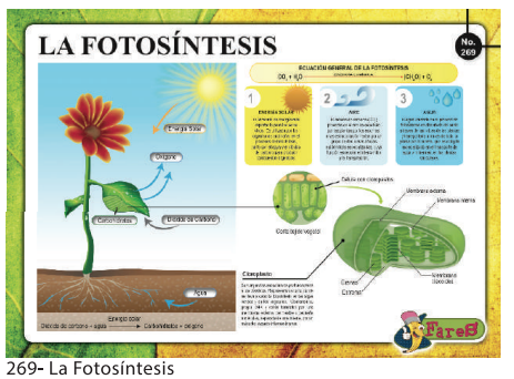 [F269] LAMINAS EDUCATIVAS LA FOTOSINTESIS