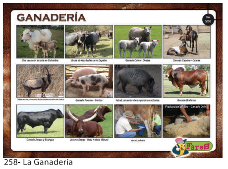 [F258] LAMINAS EDUCATIVAS LA GANADERIA