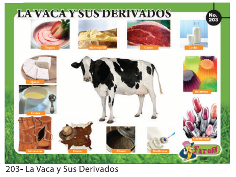 [F203] LAMINAS EDUCATIVAS LA VACA Y SUS DERIVADOS
