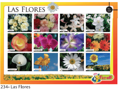 [F234] LAMINAS EDUCATIVAS LAS FLORES