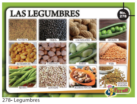 [F278] LAMINAS EDUCATIVAS LEGUMBRES