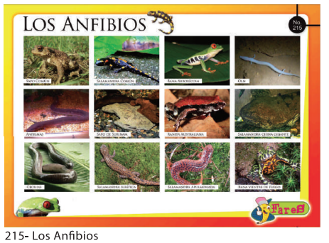 [F215] LAMINAS EDUCATIVAS LOS ANFIBIOS