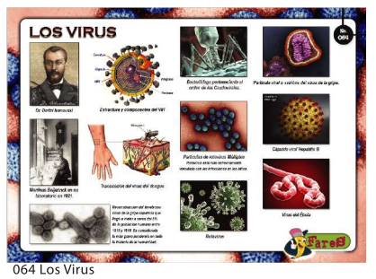 [F64] LAMINAS EDUCATIVAS LOS VIRUS