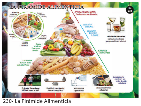 [F230] LAMINAS EDUCATIVAS PIRAMIDE ALIMENTICIA