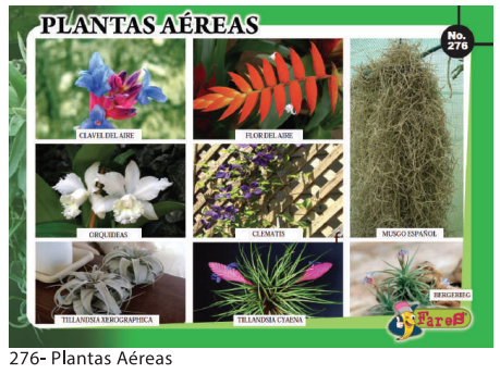 [F276] LAMINAS EDUCATIVAS PLANTAS AEREAS