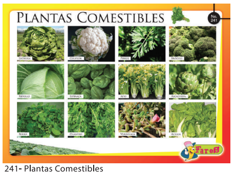[F241] LAMINAS EDUCATIVAS PLANTAS COMESTIBLES