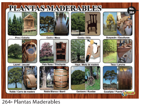 [F264] LAMINAS EDUCATIVAS PLANTAS MADERABLES